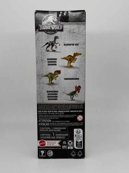 Jurassic World "Yangchuanosaurus" Sondergröße 12'' Inch Actionfigur Mattel (2023)